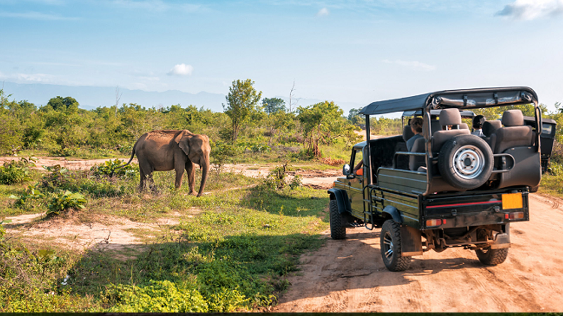 Ranthambore National Park